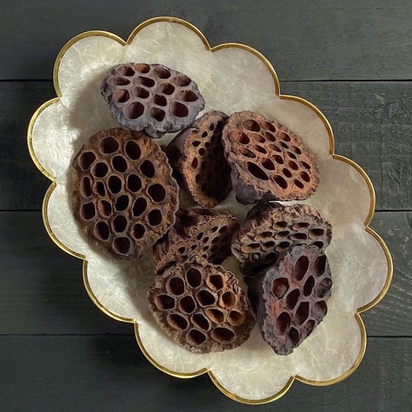 VINTAGE Capiz shell decorative trays with gold rim - Picture 7 of 9